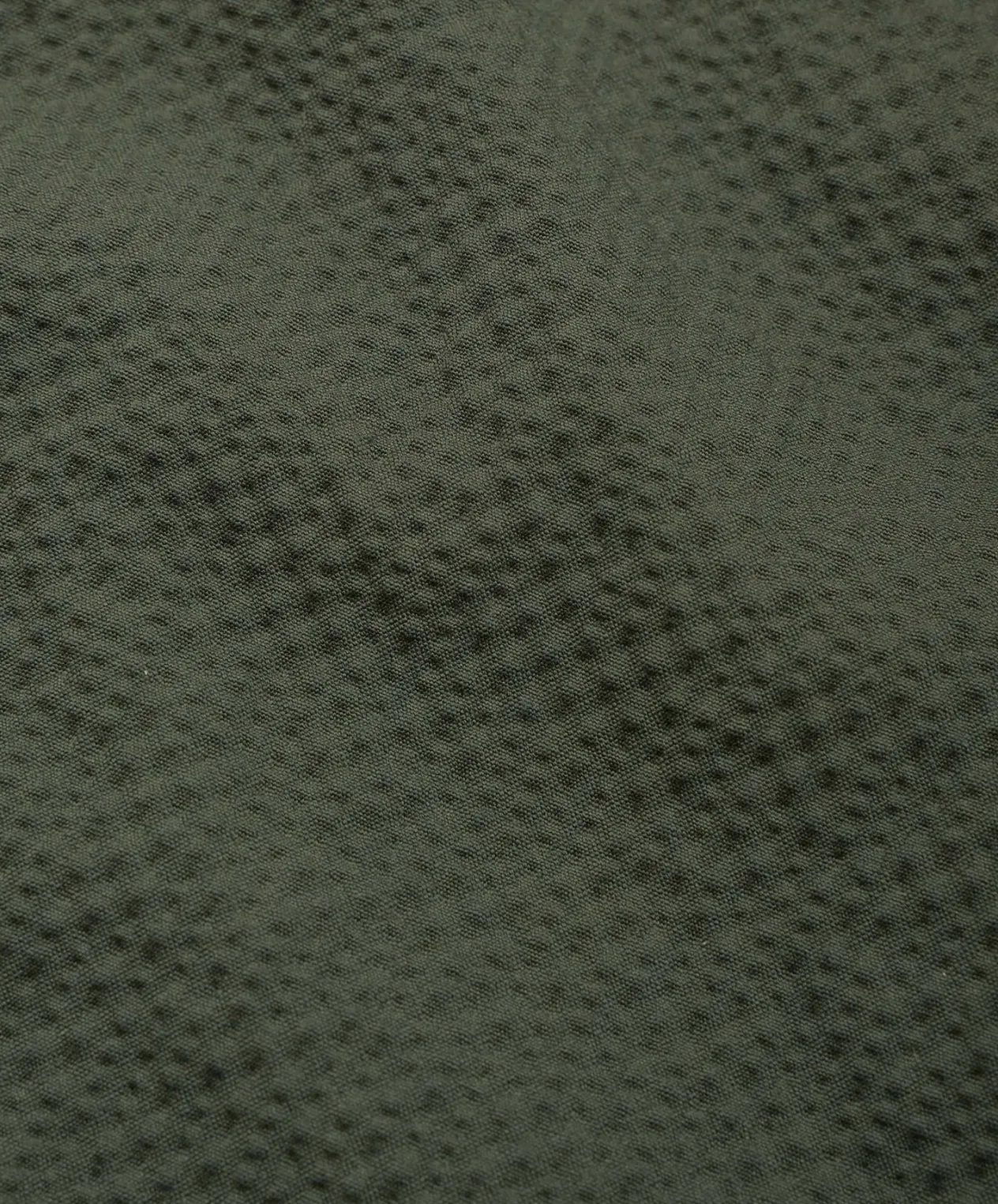 Howlin Cocktail Shirt - Greenish Seersucker New