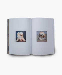 Magazines Not So Difficult 5 Fashion