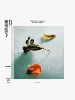 Music Toshifumi Hinata - Broken Belief LP Best